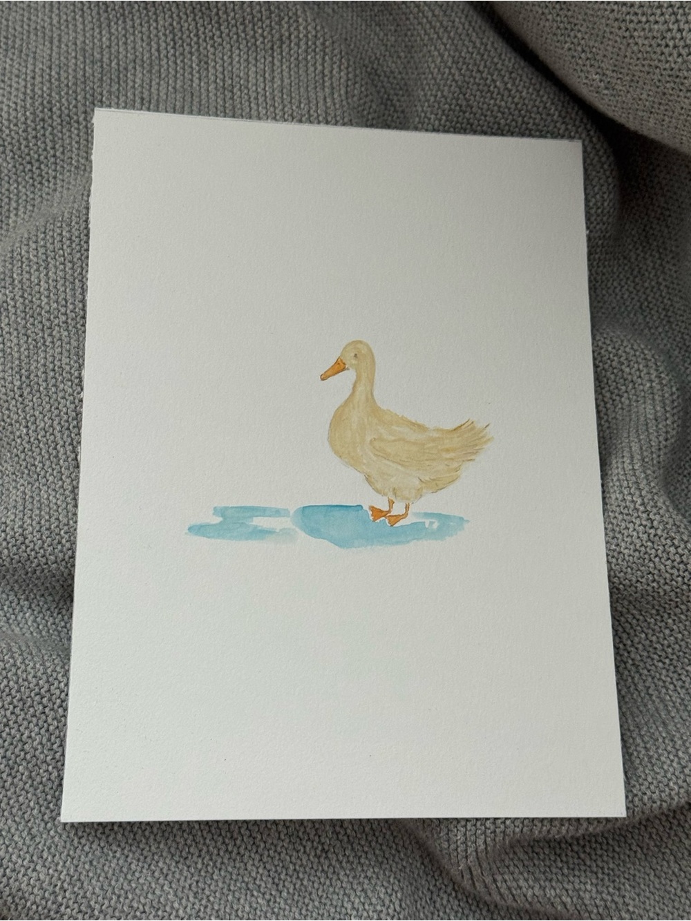 Hand Painted- Duck Art - Water Color